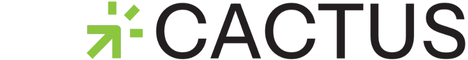 Cactus IT Solutions UK Ltd